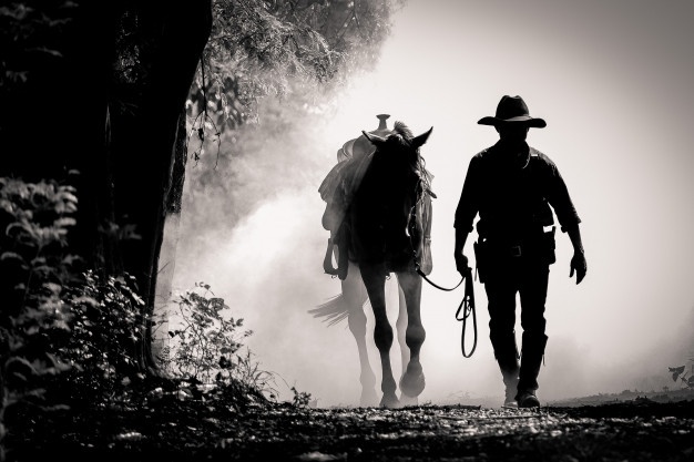 silhouette-cowboy-horse-morning-sunrise_42044-4306